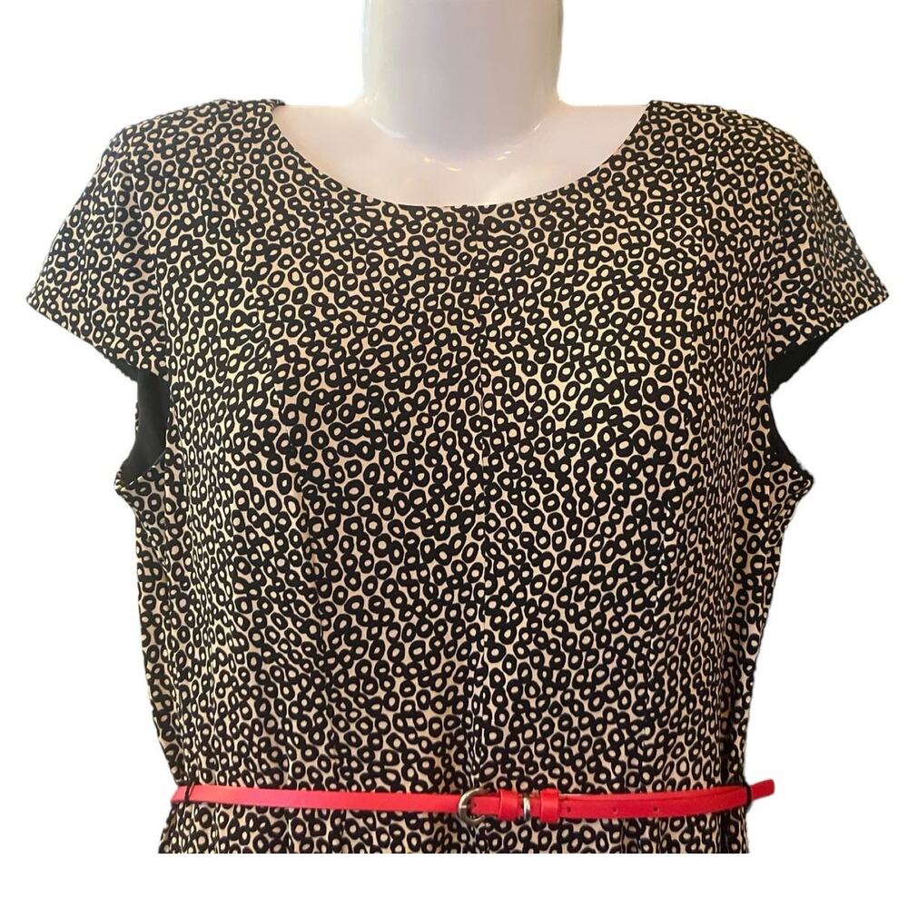 Christopher & Banks Women's Pebble Print Cap Sleeve Dress w Belt | Size 10 - Picture 9 of 10